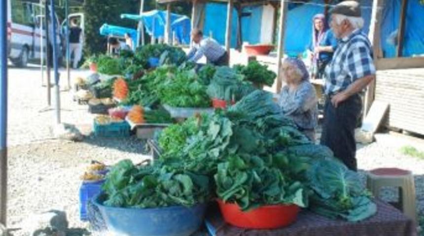 Yayla Yolunda Organik Pazar