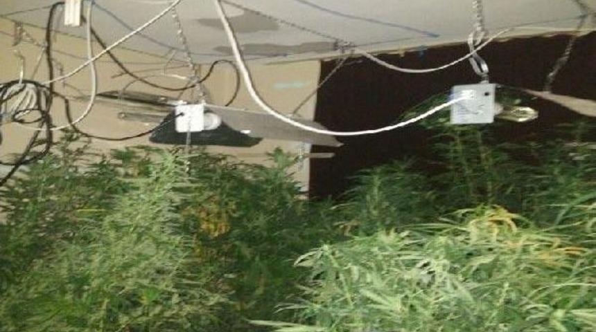 Evdeki &Ouml;zel Serada Esrar &Uuml;retimine Operasyon