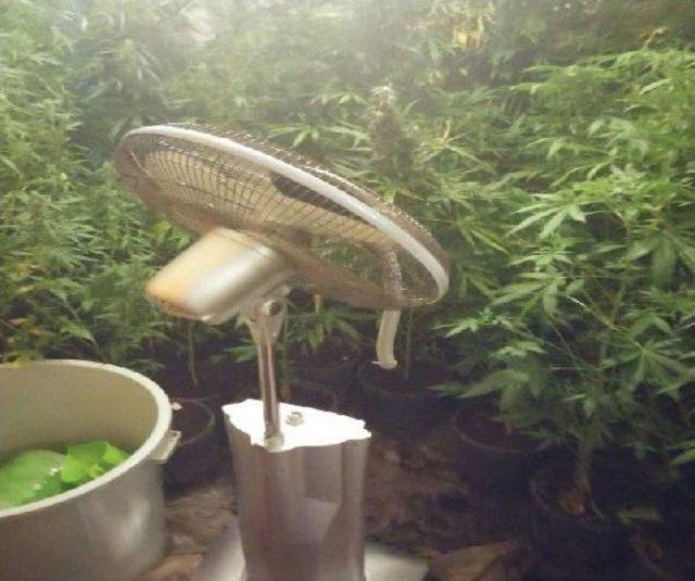 Evdeki &Ouml;zel Serada Esrar &Uuml;retimine Operasyon 1