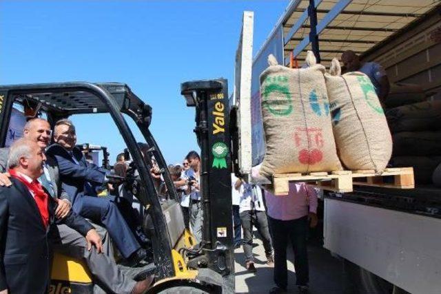 Fındık Ihracatı Sezonu Törenle Başladı