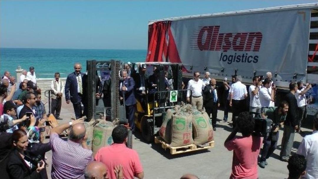 İlk Fındık İhracatı Ak&ccedil;akoca&rsquo;dan