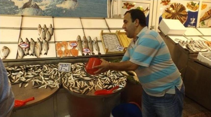 Av Sezonunun A&ccedil;ılmasıyla Birlikte Balık Fiyatları D&uuml;şt&uuml;