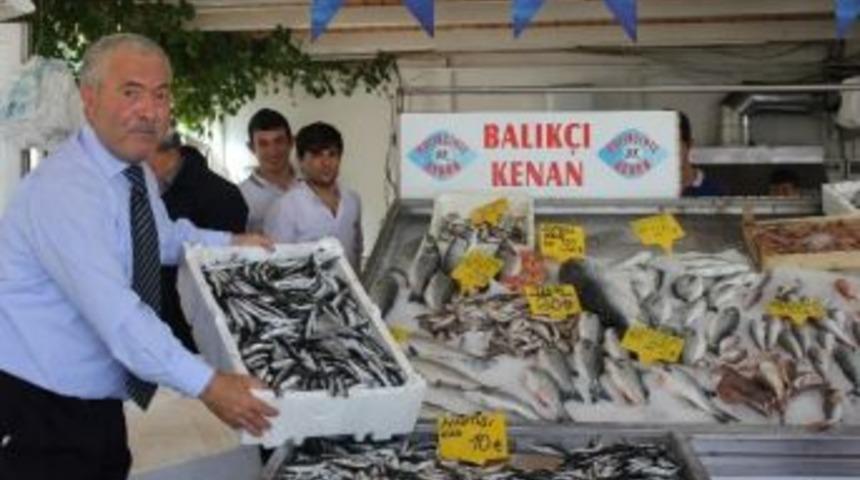 Hamsinin Bolluğu Y&uuml;zleri G&uuml;ld&uuml;rd&uuml;