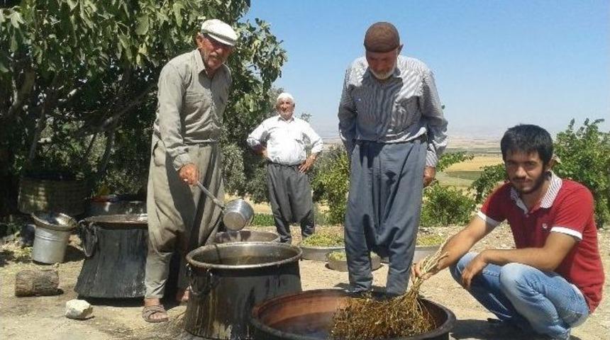 Samsat&rsquo;ta Bağbozumu Başladı