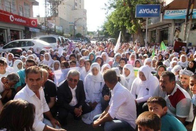 İdil de Kadınlardan D&uuml;d&uuml;kl&uuml;, Beyaz T&uuml;lbentli Barış Y&uuml;r&uuml;y&uuml;ş&uuml; 2