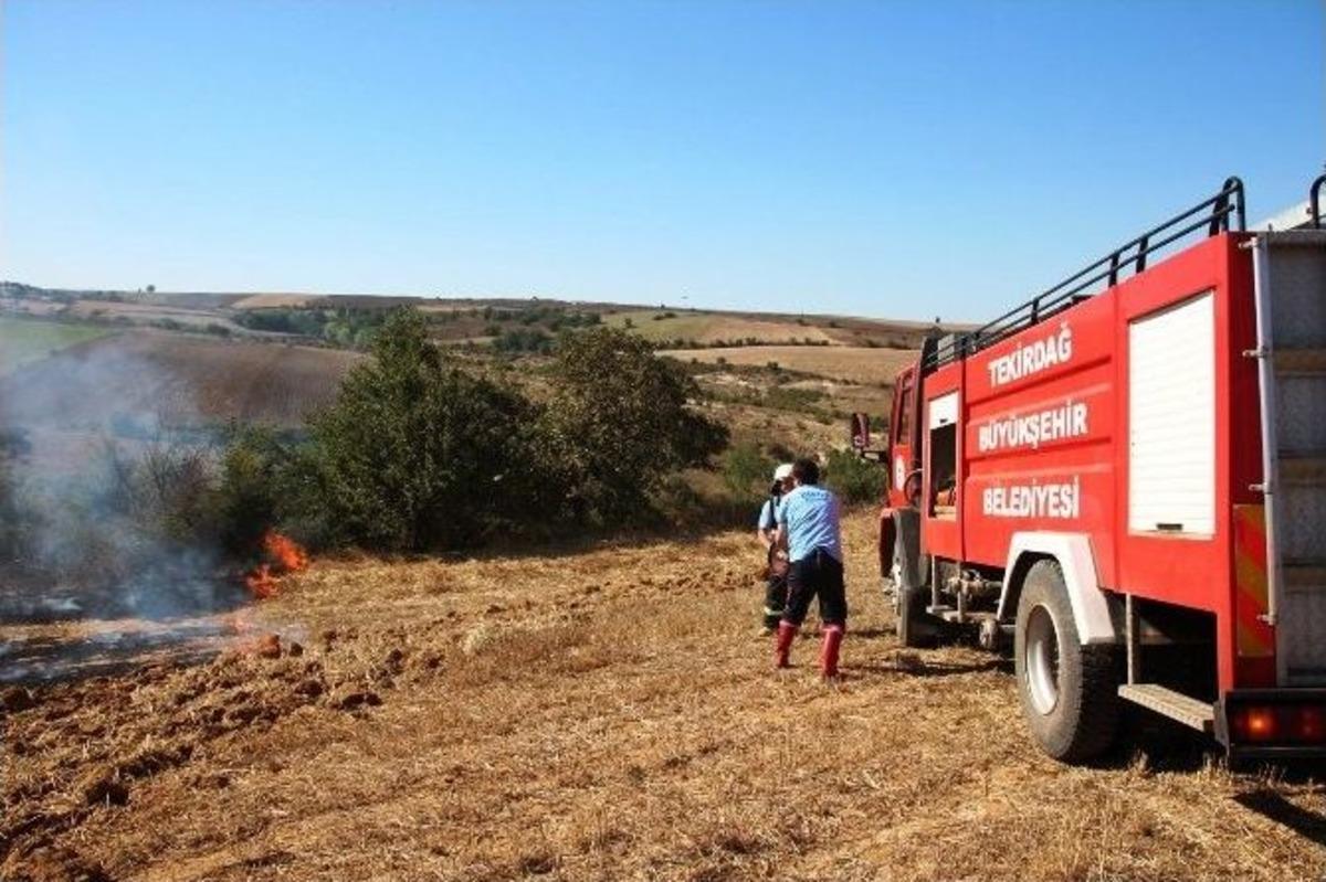 Tekirdağ&rsquo;da Anız Yangını Korkuttu