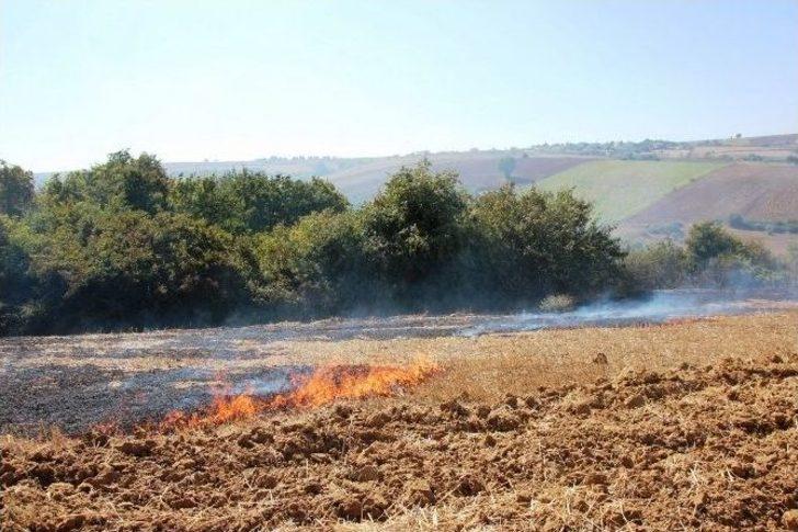Tekirdağ’da Anız Yangını Korkuttu G1