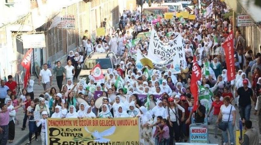 Şırnak&rsquo;ta 1 Eyl&uuml;l Barış G&uuml;n&uuml; Y&uuml;r&uuml;y&uuml;ş&uuml; Yapıldı