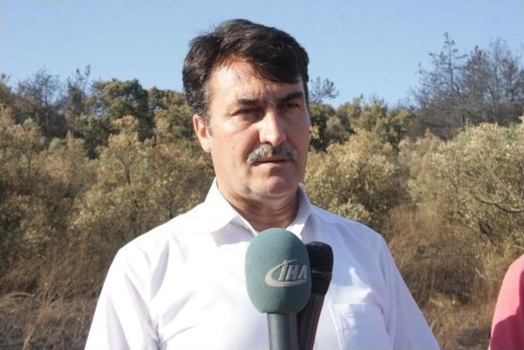 (&ouml;zel Haber) K&ouml;yl&uuml;ler Yanan Ormanlara Dikilen Fıstık &Ccedil;amlarından Para Kazanacak