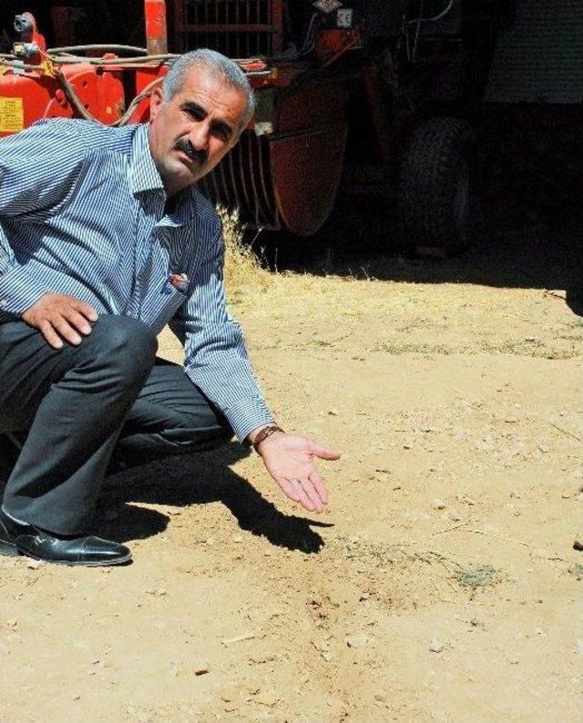 G&ouml;&ccedil;&uuml;k Korkusuyla Yaşıyorlar 1