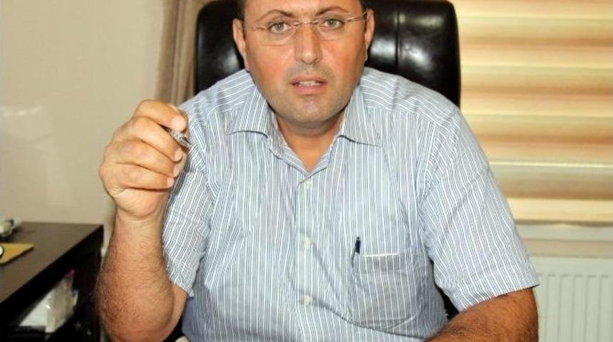 Karadeniz&rsquo;de Yaşanan &rsquo;vampir Kelebek&rsquo; Tartışmasına Son Nokta