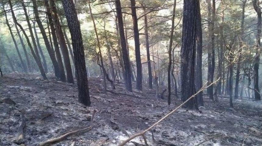 Kozan&rsquo;daki Orman Yangını Kontrol Altına Alındı