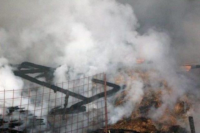 Ke&ccedil;iler Yanmaktan Kurtarıldı 1