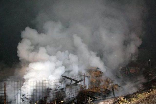 Ke&ccedil;iler Yanmaktan Kurtarıldı 2