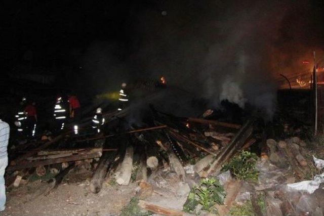 Ke&ccedil;iler Yanmaktan Kurtarıldı 3