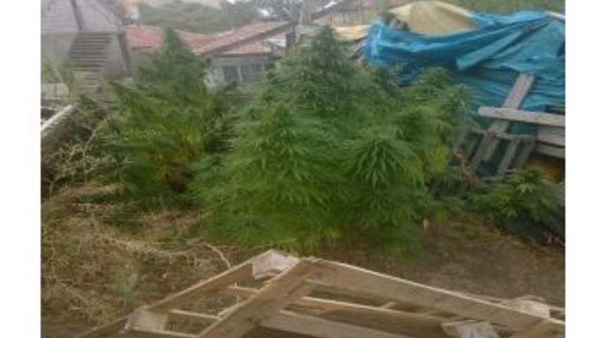 Polisten Hint Keneviri Operasyonu