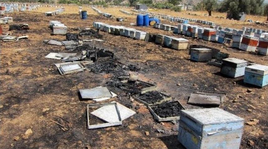 S&ouml;ke&rsquo;de Bin 500 Kovan Yandı, Zarar 900 Bin Tl