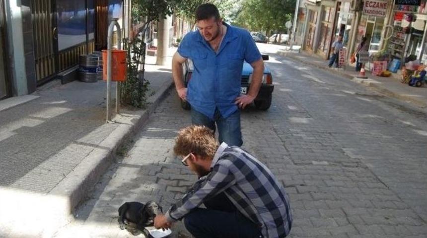 Otomobilin Ezdiği Yaralı K&ouml;peğe Vatandaş Sahip &Ccedil;ıktı