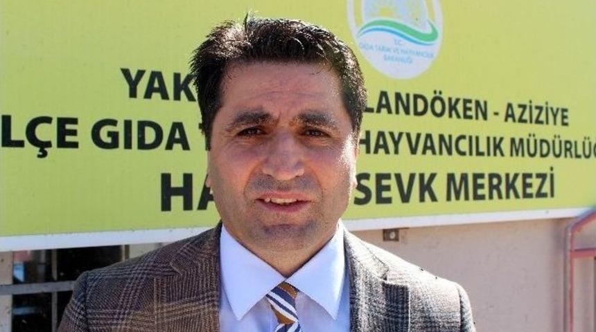 Erzurum&rsquo;dan T&uuml;rkiye Geneline 90 Bin Kurbanlık Sevk Edilecek