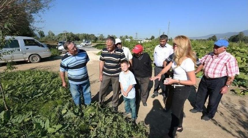 Bolulu &Ccedil;ift&ccedil;iler Bebek Meyve Ormanını Ziyaret Etti