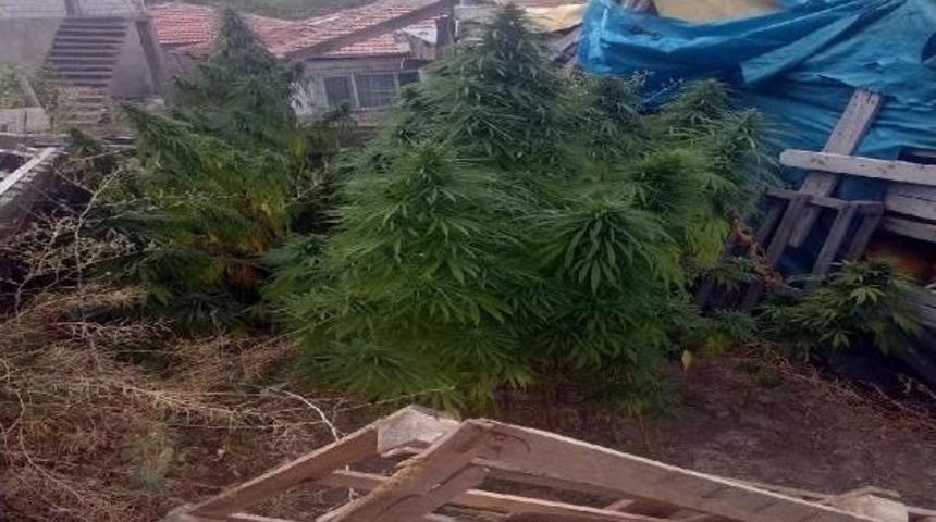 Kayseri&rsquo;De Uyuşturucu Operasyonu: 2 Tutuklama