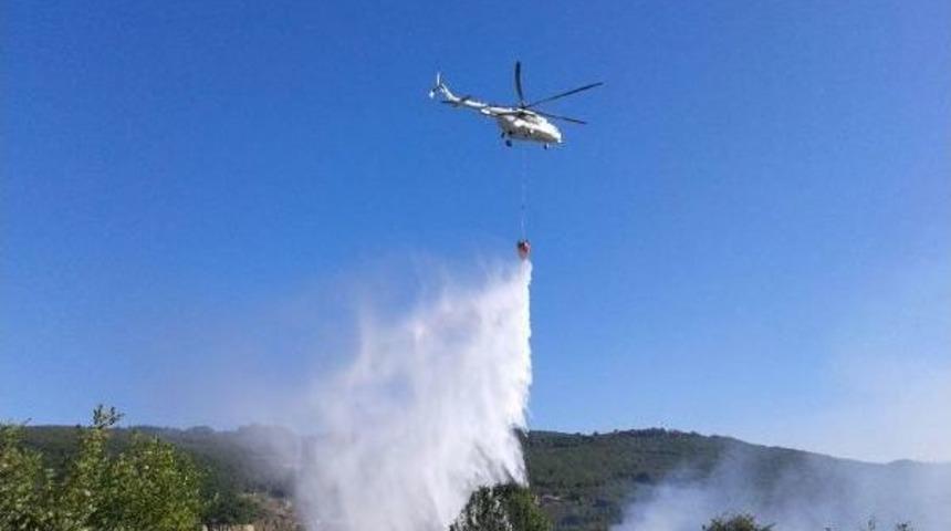 D&uuml;zce'de Orman Yangını