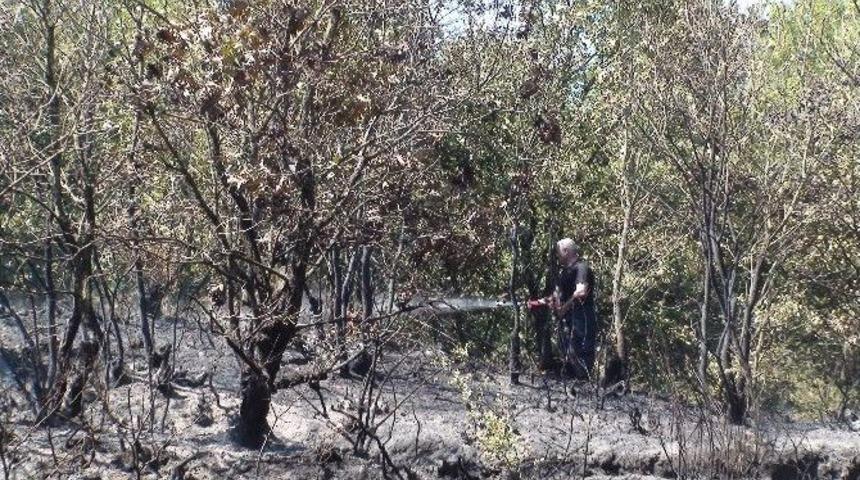 (&ouml;zel Haber) Pendik&rsquo;te Orman Yangını
