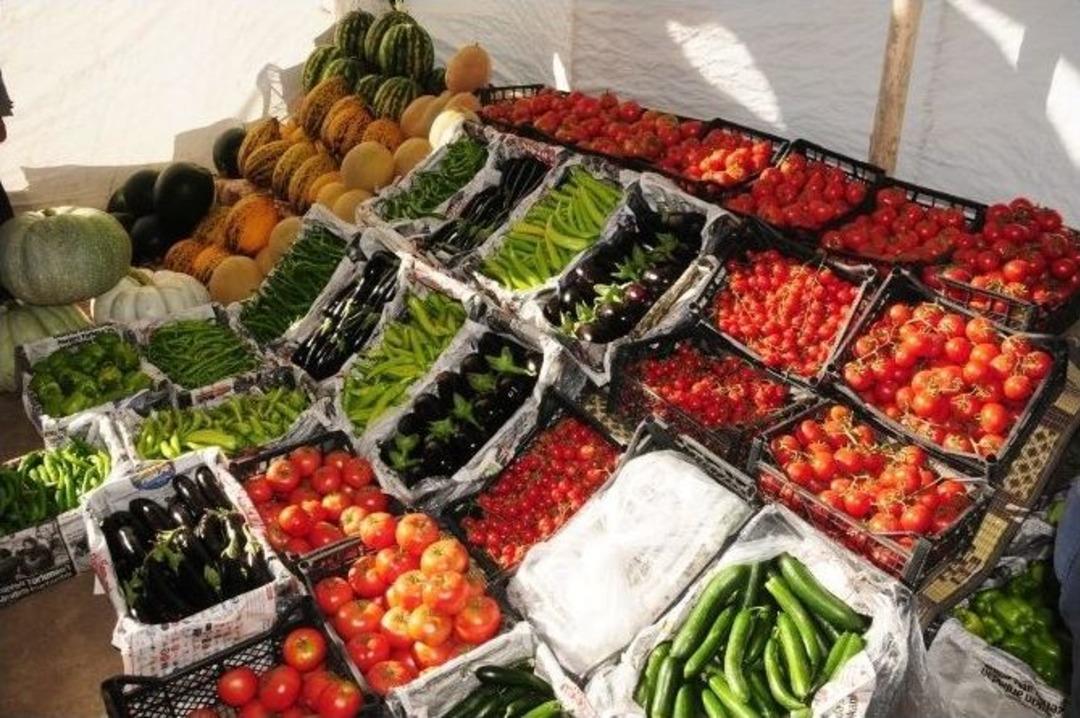 Vali Taşyapan Sebze &Uuml;retim Tarlalarını Gezdi