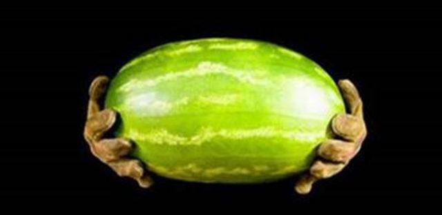 Karpuzun faydaları ve zararları 1