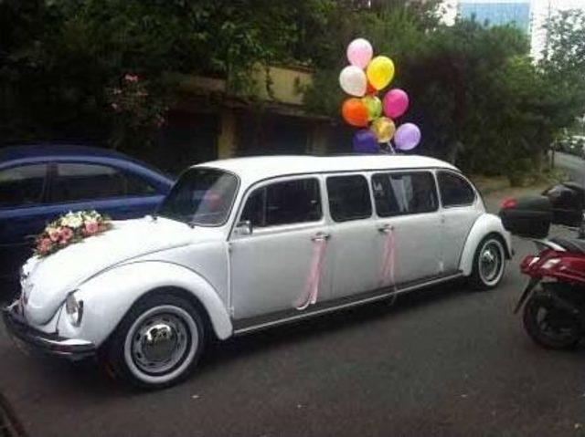 &ldquo;en Cicimiz Vosvos Festivali&rdquo; Başlıyor 1