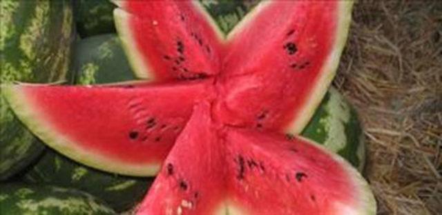 Karpuzun faydaları ve zararları 2