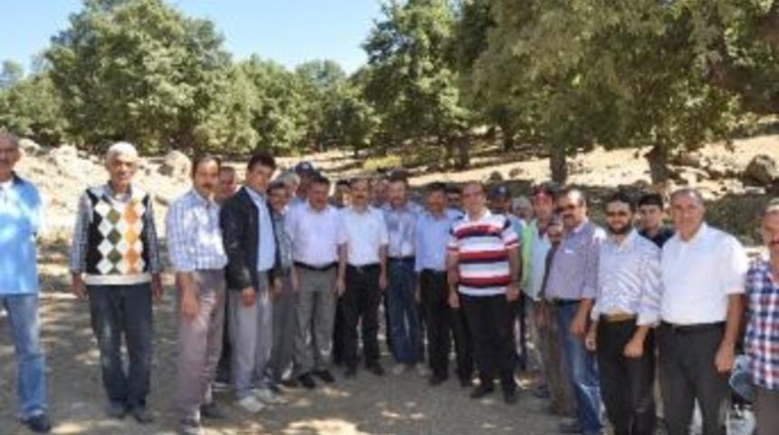 Başkan Tutal, &Ccedil;alışmaları Yerinde İnceledi