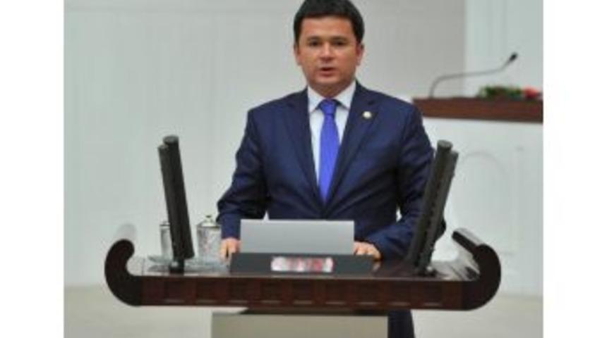 Chp&rsquo;Li Erkan, Bursa&rsquo;Daki Orman Yangınını Tbmm'ye Taşıdı