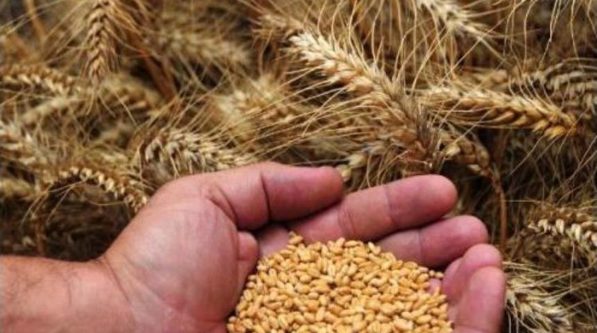 Adana Ticaret Borsası: Tarımda 'havza Modeli' &Uuml;retimi Artırabilir