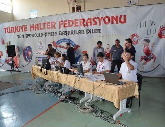 Halter Şampiyonası Nazilli’de Start Aldı