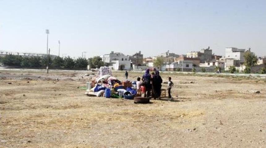 Kira &Ouml;deyemedikleri I&ccedil;in Evsiz Kalıp Arazide Yaşayan Aile Yardım Istiyor