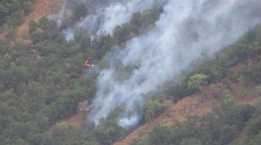 Hakkari&rsquo;de 5 Ayrı Noktada Orman Yangını