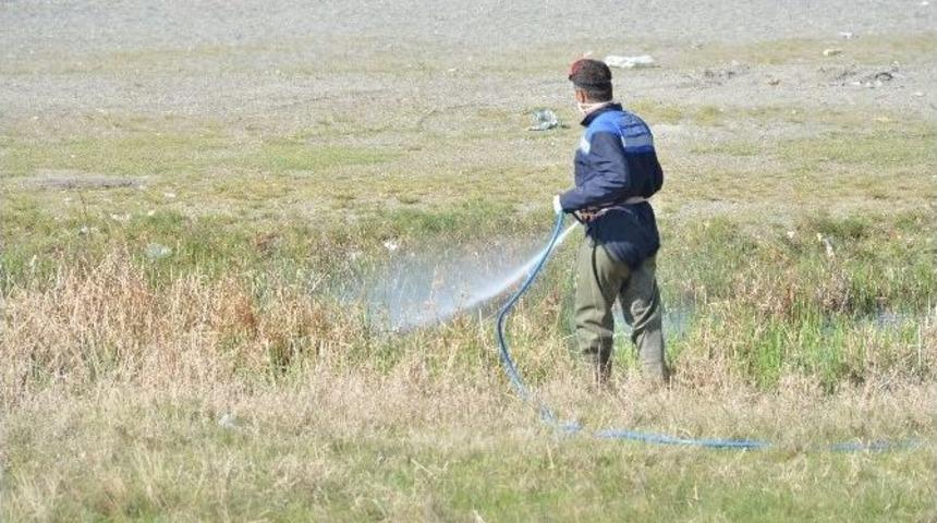 Tuşba Belediyesi&rsquo;nden Sivrisinek Ve Haşereyle M&uuml;cadele &Ccedil;alışması