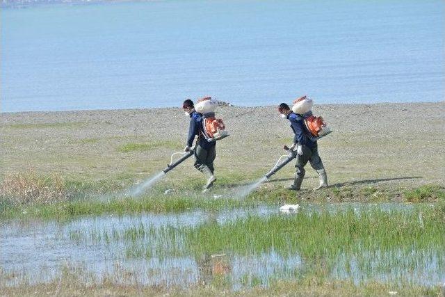 Tuşba Belediyesi’nden Sivrisinek Ve Haşereyle Mücadele Çalışması