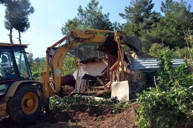 Uludağ Eteklerinde 60 Kaçak Baraka Yıkıldı