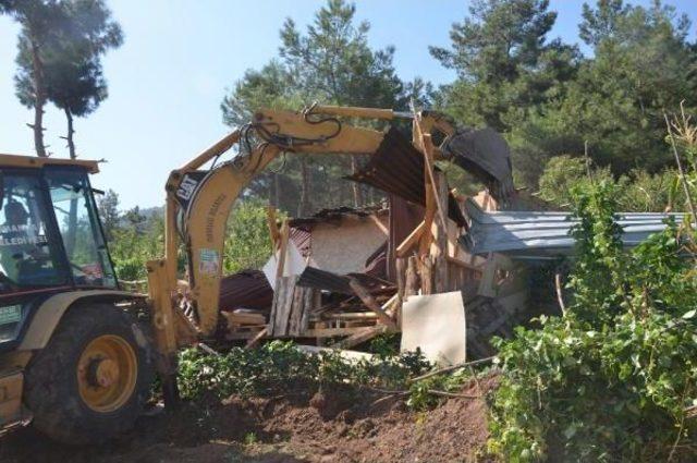 Uludağ Yolundaki Kaçak 60 Baraka Ve Prefabrik Ev Yıkıldı