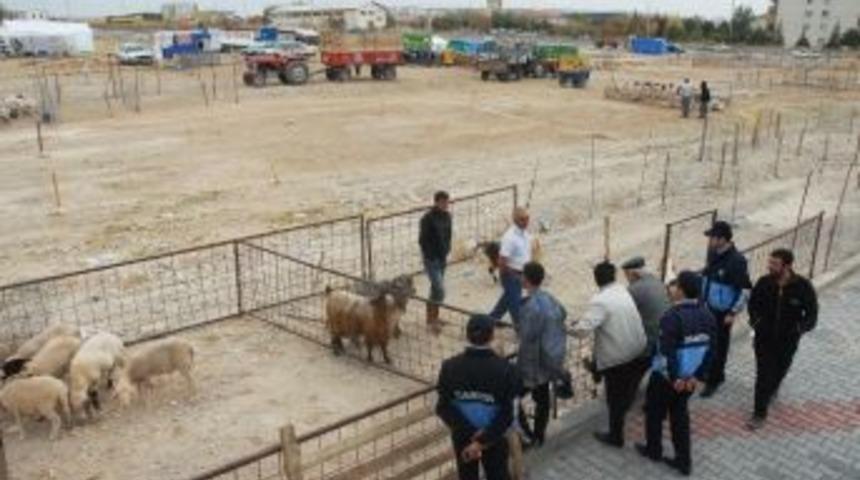 Karaman&rsquo;da Kurban Satış Ve Kesim Yerleri Belirlendi