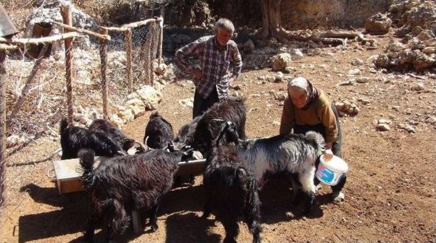 Kurbanlıkların &Uuml;zerine Yıldırım D&uuml;şt&uuml;