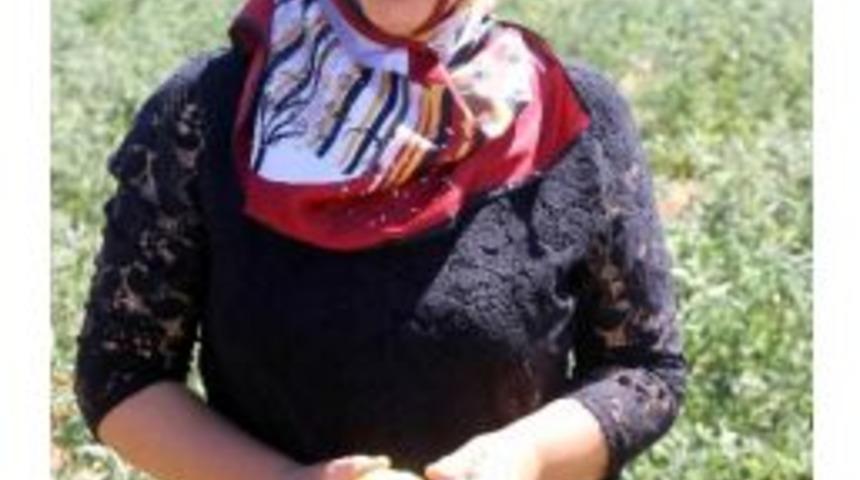 Organik Tarıma Kadın Eli Değdi