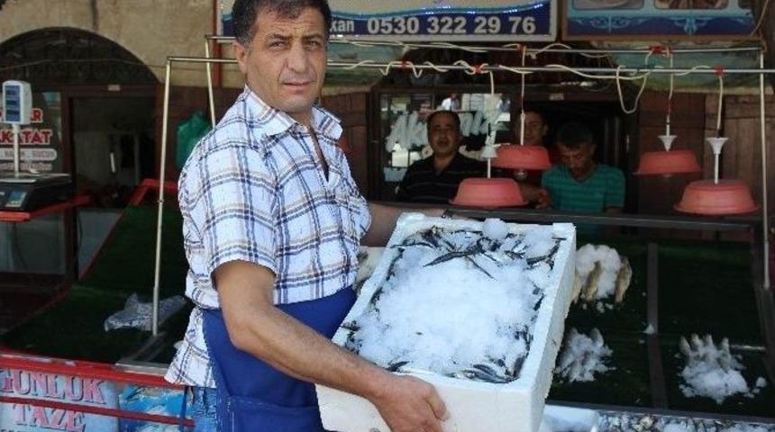 Kilis&rsquo;te Balık Tezgaha İndi