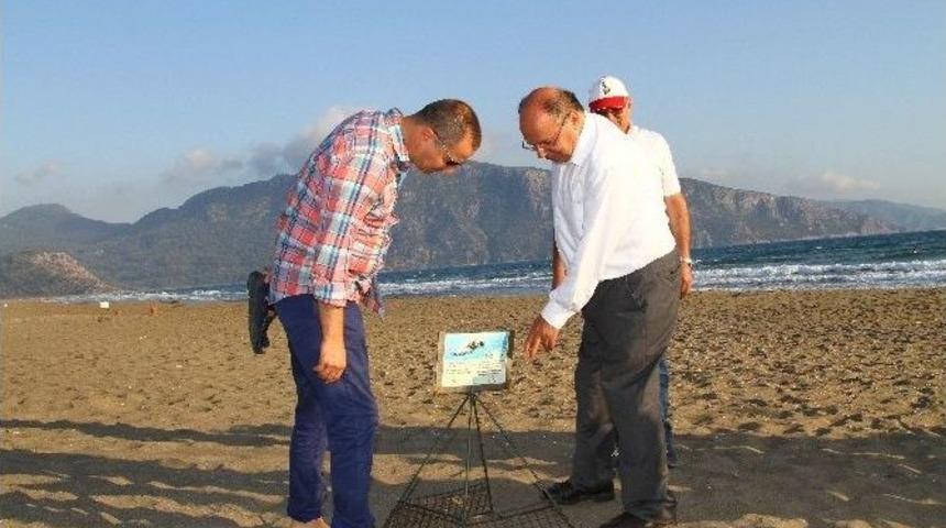 Vali &Ccedil;i&ccedil;ek, Dalyan&rsquo;da İncelemelerde Bulundu