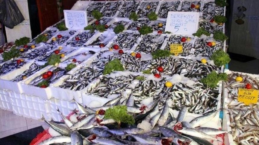 Av Yasağından Sonra Balık&ccedil;ı Tezgahları Şenlendi