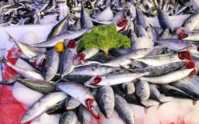 Av Yasağından Sonra Balık&ccedil;ı Tezgahları Şenlendi 1