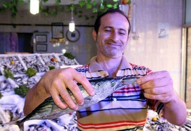 Av Yasağından Sonra Balık&ccedil;ı Tezgahları Şenlendi 3