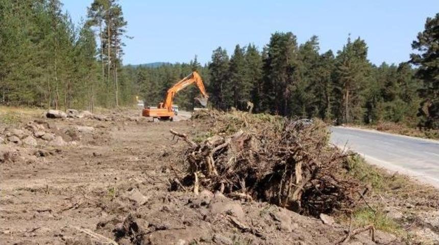 Ağaçlar Yola Kurban Edildi